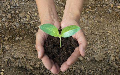 Agroecología y Bioinsumos