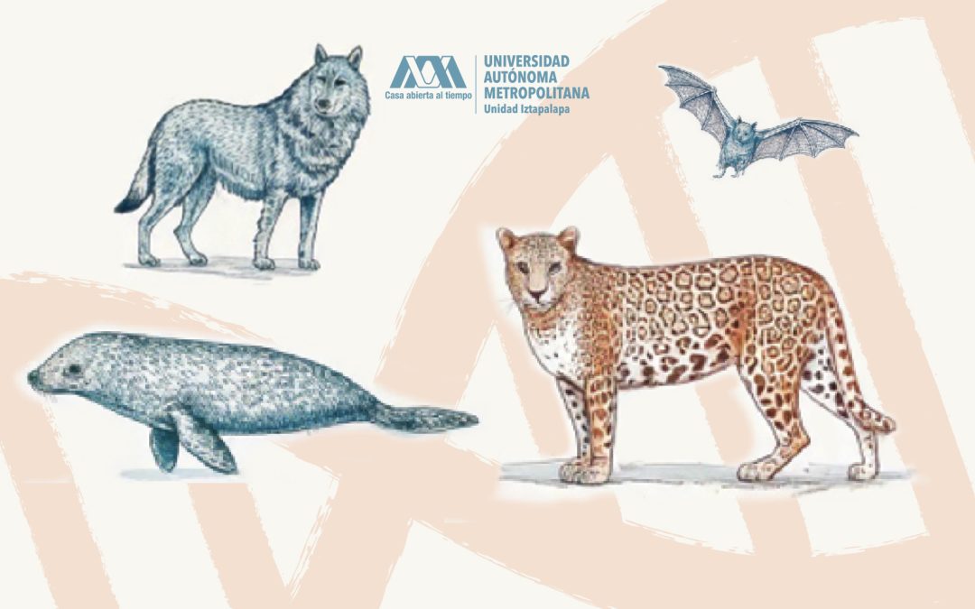 Mamíferos de México en Riesgo y Estrategias de Recuperación: Perspectiva Internacional