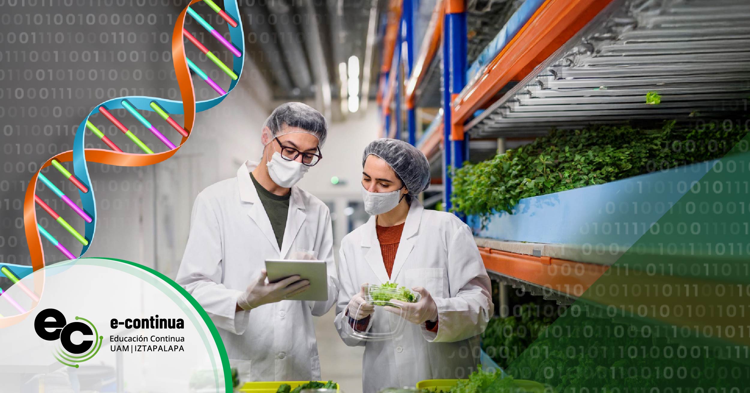 Diplomado en Gestion de calidad e inocuidad alimentaria con herramientas moleculares y ciencia de datos Diplomado en Gestion de calidad e inocuidad alimentaria con herramientas moleculares y ciencia de datos